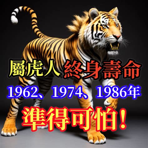 1986年虎|1986年屬虎是什麼命？最全虎命命相批註！